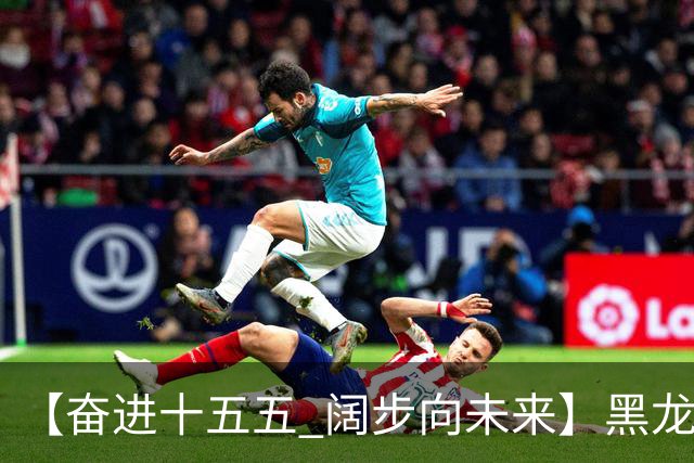 【奋进十五五 阔步向未来】黑龙江农机产业正加速迈向高端化智能化绿色化