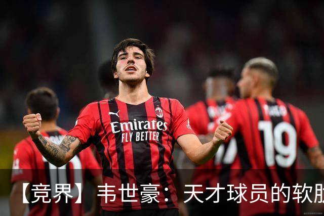 【竞界】韦世豪：天才球员的软肋 洪七公效应的外溢